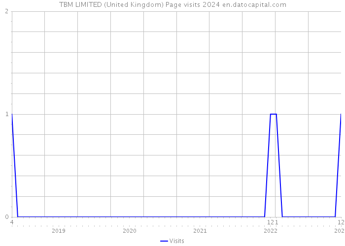 TBM LIMITED (United Kingdom) Page visits 2024 