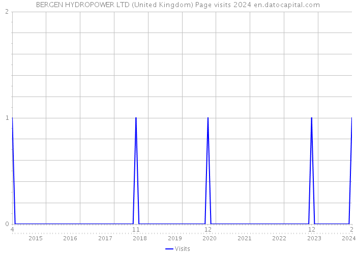 BERGEN HYDROPOWER LTD (United Kingdom) Page visits 2024 