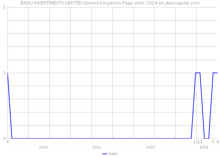 BADU INVESTMENTS LIMITED (United Kingdom) Page visits 2024 