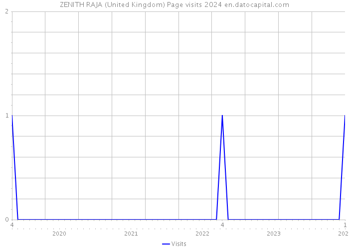 ZENITH RAJA (United Kingdom) Page visits 2024 