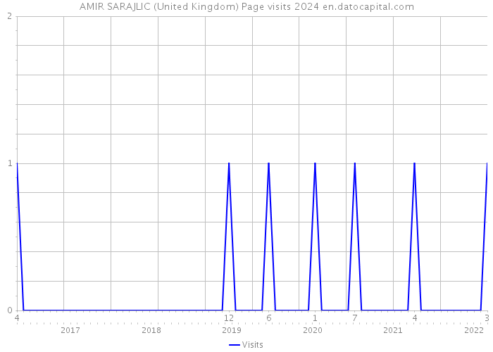 AMIR SARAJLIC (United Kingdom) Page visits 2024 