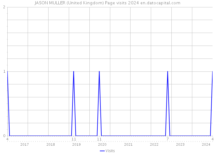 JASON MULLER (United Kingdom) Page visits 2024 