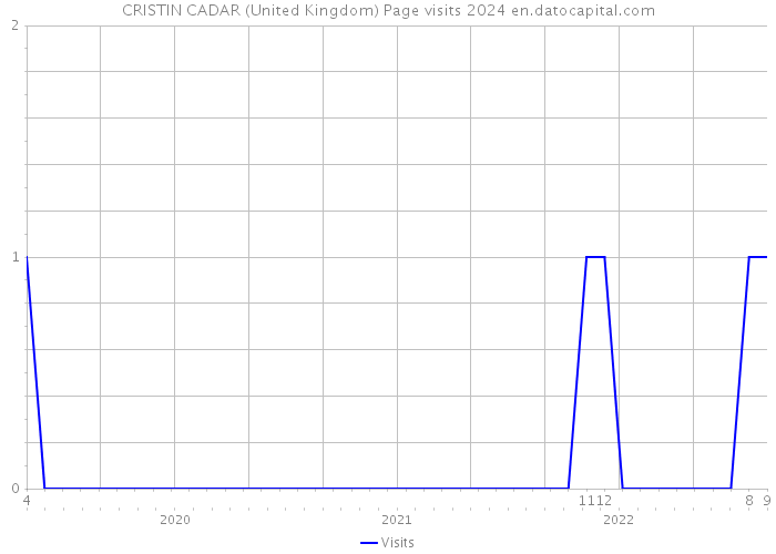 CRISTIN CADAR (United Kingdom) Page visits 2024 