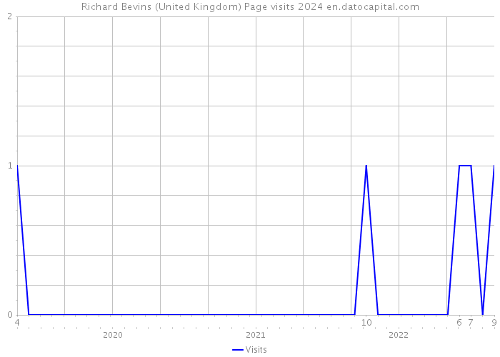 Richard Bevins (United Kingdom) Page visits 2024 
