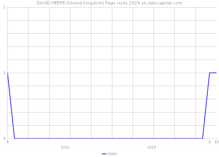 DAVID HERPE (United Kingdom) Page visits 2024 