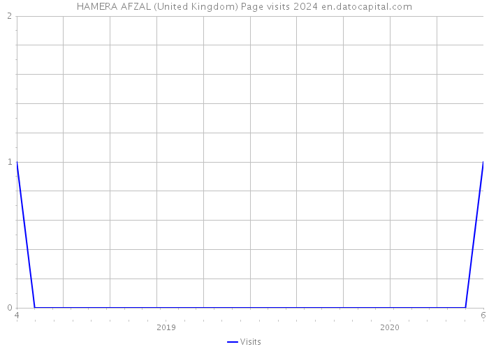 HAMERA AFZAL (United Kingdom) Page visits 2024 