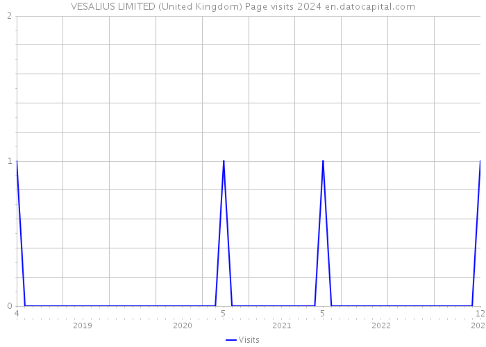 VESALIUS LIMITED (United Kingdom) Page visits 2024 