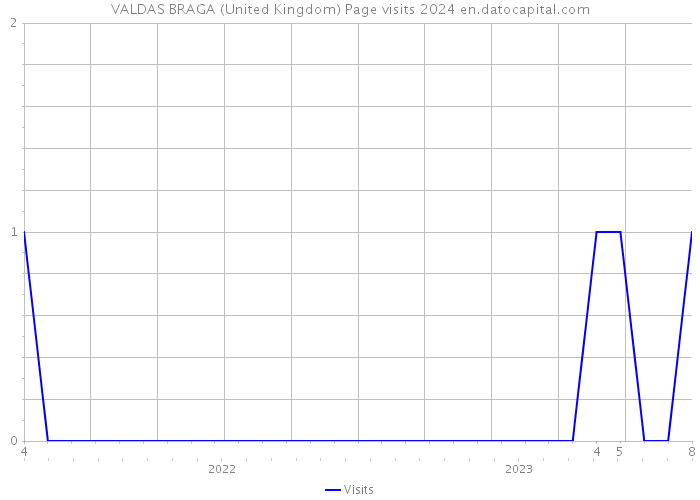 VALDAS BRAGA (United Kingdom) Page visits 2024 