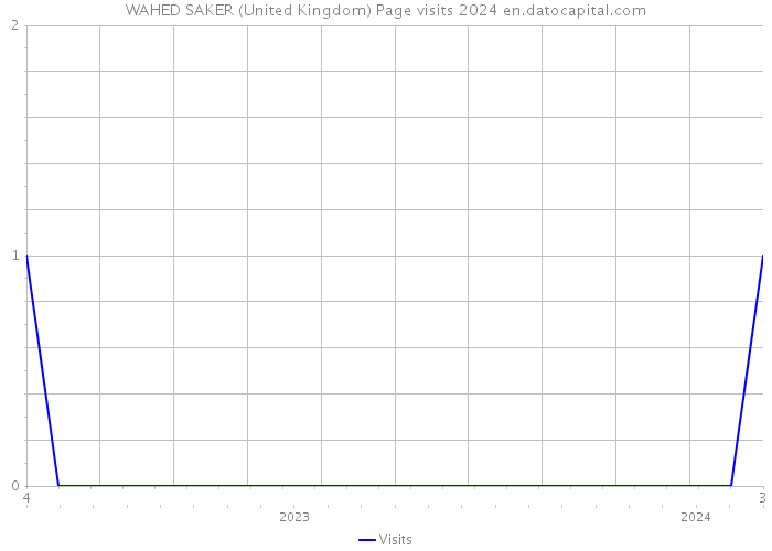 WAHED SAKER (United Kingdom) Page visits 2024 