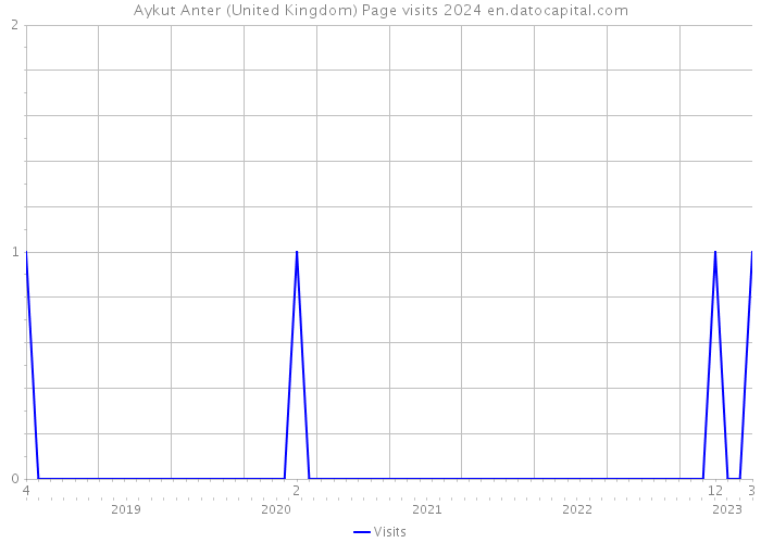 Aykut Anter (United Kingdom) Page visits 2024 