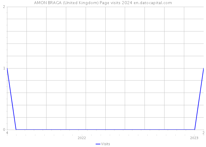 AMON BRAGA (United Kingdom) Page visits 2024 