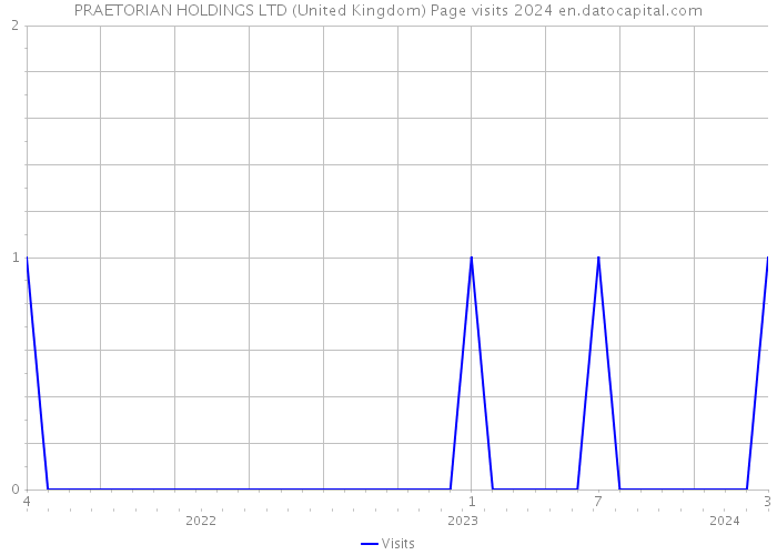 PRAETORIAN HOLDINGS LTD (United Kingdom) Page visits 2024 