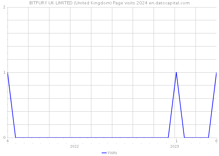 BITFURY UK LIMITED (United Kingdom) Page visits 2024 