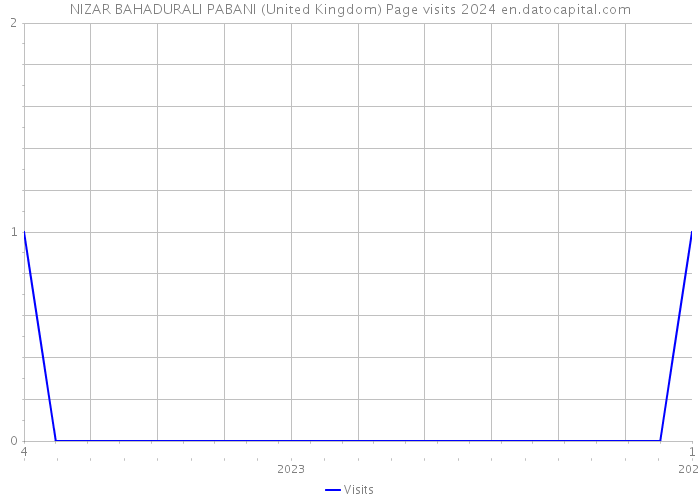 NIZAR BAHADURALI PABANI (United Kingdom) Page visits 2024 