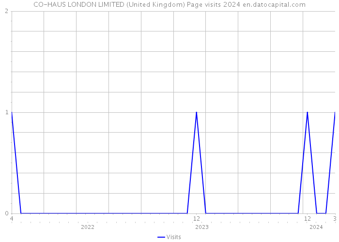 CO-HAUS LONDON LIMITED (United Kingdom) Page visits 2024 