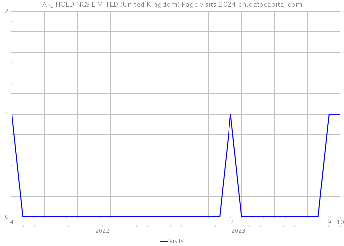 AKJ HOLDINGS LIMITED (United Kingdom) Page visits 2024 