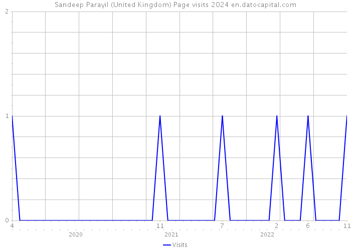 Sandeep Parayil (United Kingdom) Page visits 2024 