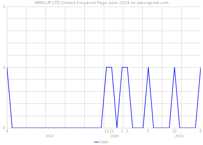 MERKUR LTD (United Kingdom) Page visits 2024 