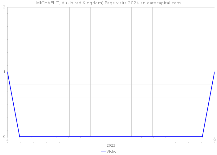 MICHAEL TJIA (United Kingdom) Page visits 2024 