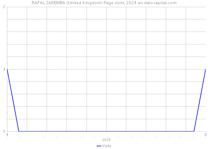 RAFAL ZAREMBA (United Kingdom) Page visits 2024 