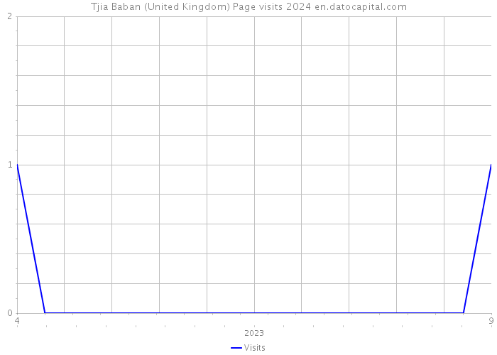 Tjia Baban (United Kingdom) Page visits 2024 