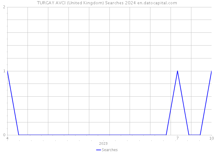 TURGAY AVCI (United Kingdom) Searches 2024 