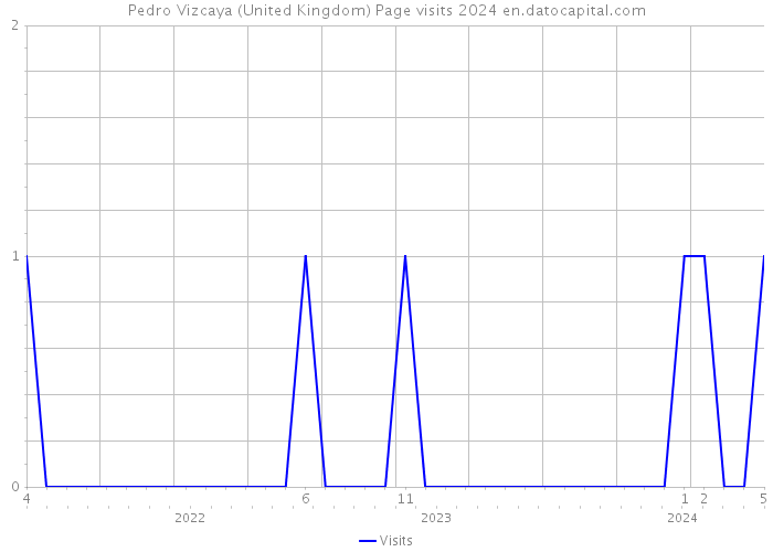 Pedro Vizcaya (United Kingdom) Page visits 2024 