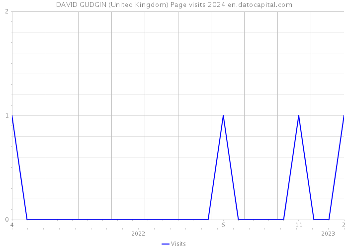 DAVID GUDGIN (United Kingdom) Page visits 2024 