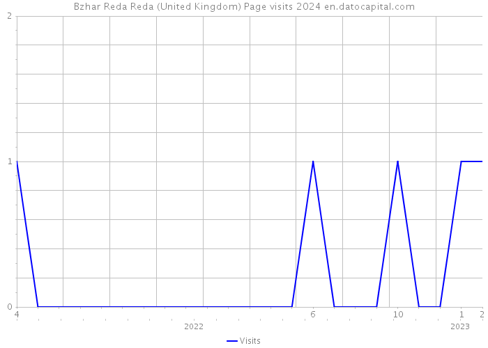 Bzhar Reda Reda (United Kingdom) Page visits 2024 
