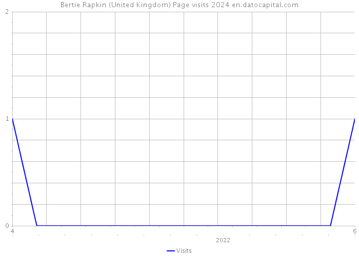 Bertie Rapkin (United Kingdom) Page visits 2024 