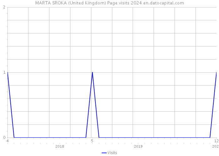 MARTA SROKA (United Kingdom) Page visits 2024 
