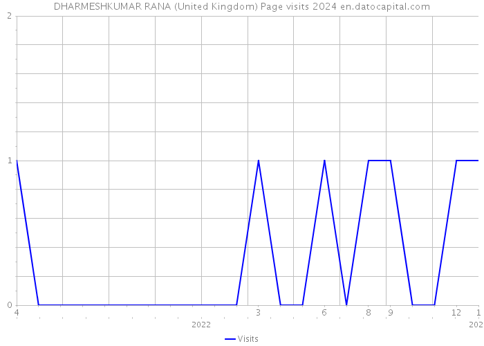 DHARMESHKUMAR RANA (United Kingdom) Page visits 2024 