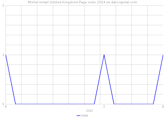 Mishal Ismail (United Kingdom) Page visits 2024 