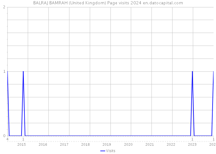 BALRAJ BAMRAH (United Kingdom) Page visits 2024 