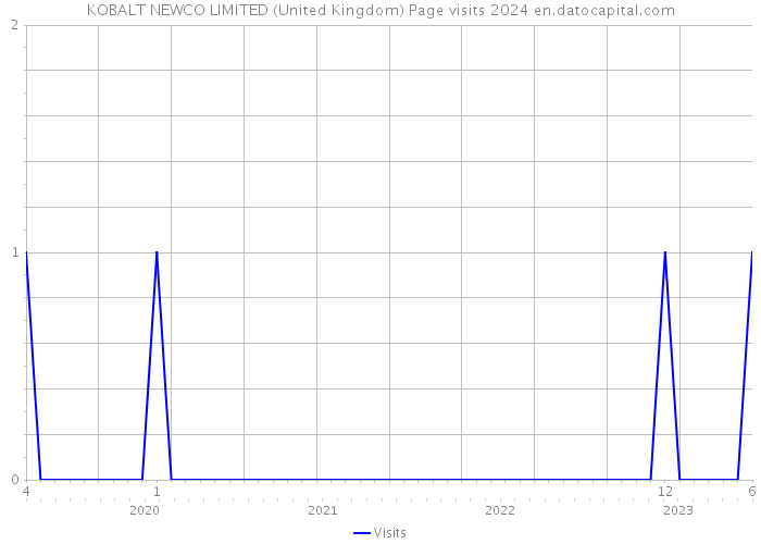 KOBALT NEWCO LIMITED (United Kingdom) Page visits 2024 