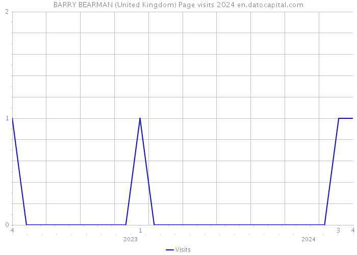 BARRY BEARMAN (United Kingdom) Page visits 2024 
