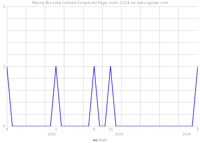 Maciej Brzoska (United Kingdom) Page visits 2024 