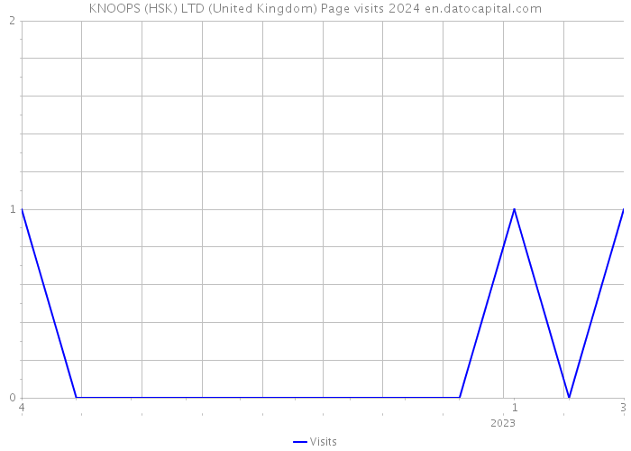 KNOOPS (HSK) LTD (United Kingdom) Page visits 2024 