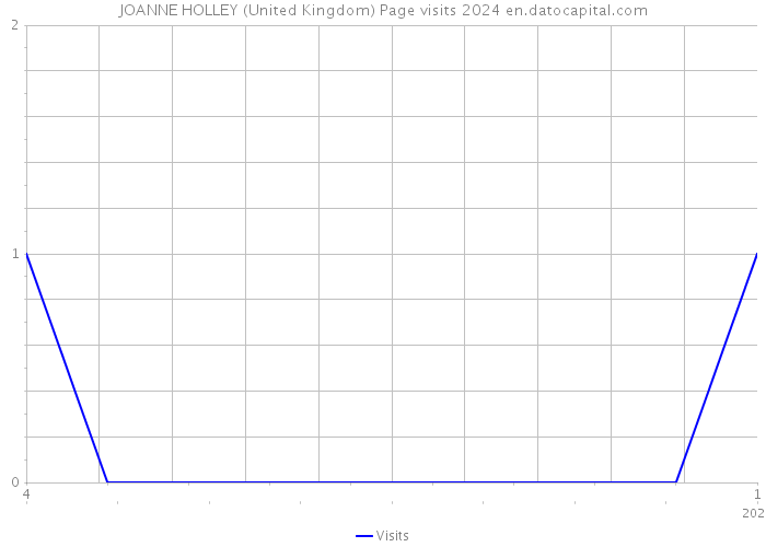 JOANNE HOLLEY (United Kingdom) Page visits 2024 