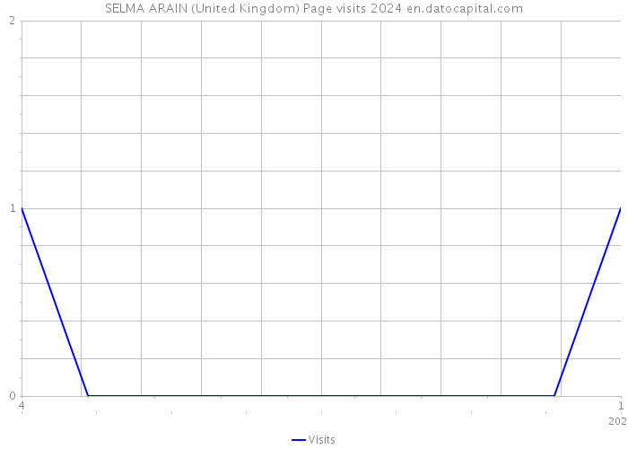 SELMA ARAIN (United Kingdom) Page visits 2024 