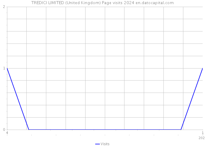 TREDICI LIMITED (United Kingdom) Page visits 2024 