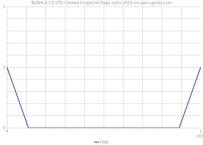 BUSHI & CO LTD (United Kingdom) Page visits 2024 