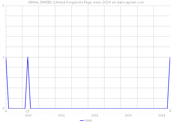 ISMAIL SIMSEK (United Kingdom) Page visits 2024 