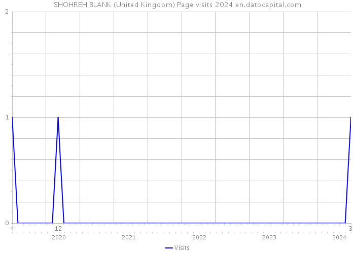 SHOHREH BLANK (United Kingdom) Page visits 2024 