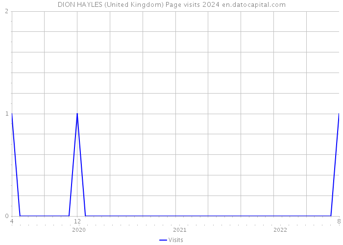 DION HAYLES (United Kingdom) Page visits 2024 