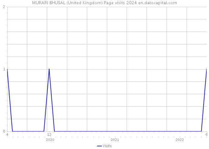 MURARI BHUSAL (United Kingdom) Page visits 2024 