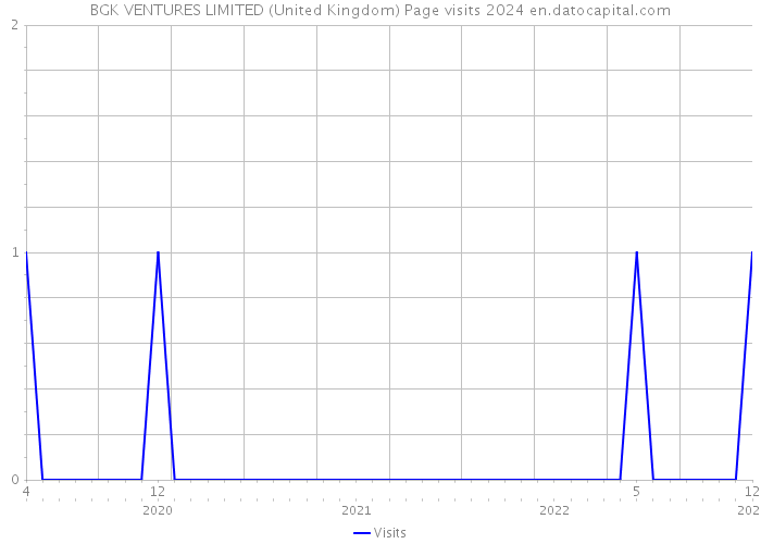 BGK VENTURES LIMITED (United Kingdom) Page visits 2024 