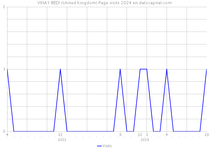 VINAY BEDI (United Kingdom) Page visits 2024 
