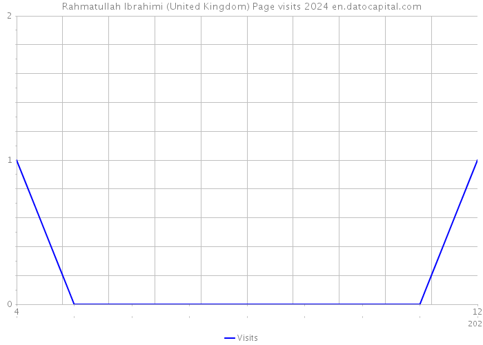 Rahmatullah Ibrahimi (United Kingdom) Page visits 2024 