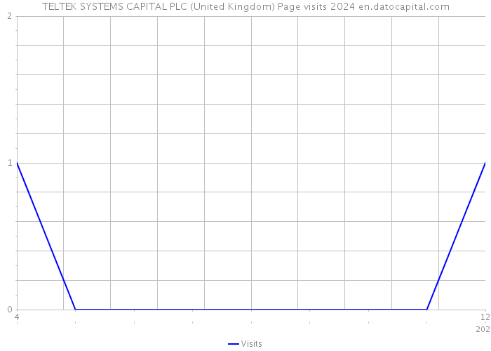 TELTEK SYSTEMS CAPITAL PLC (United Kingdom) Page visits 2024 
